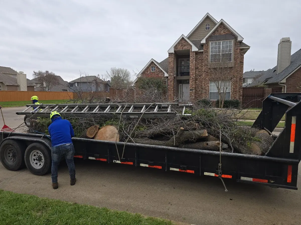Expert Lot Clearing with proper safety equipment in Springview